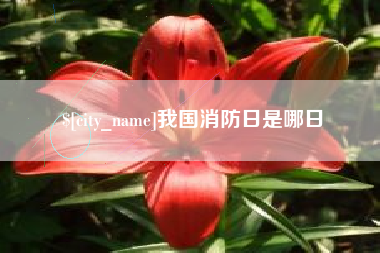 中国澳门我国消防日是哪日