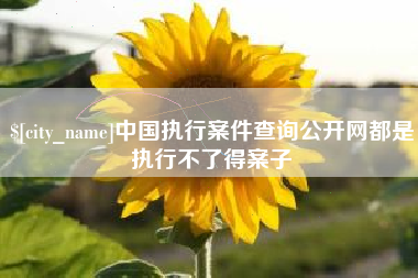 中国澳门中国执行案件查询公开网都是执行不了得案子
