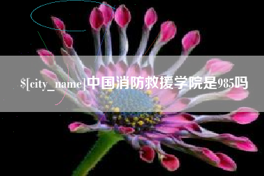 中国澳门中国消防救援学院是985吗