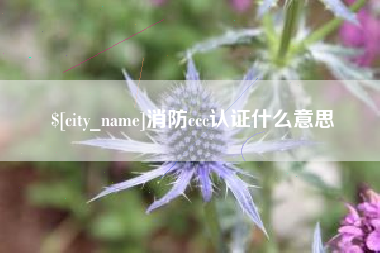 中国澳门消防ccc认证什么意思