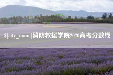 中国澳门消防救援学院2020高考分数线