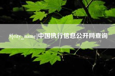 中国澳门中国执行信息公开网查询