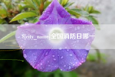 中国澳门全国消防日哪一