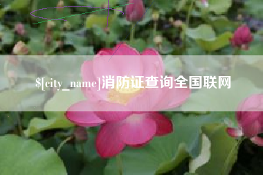 中国澳门消防证查询全国联网