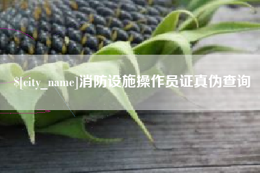 中国澳门消防设施操作员证真伪查询