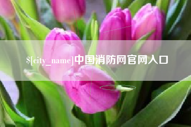 中国澳门中国消防网官网入口