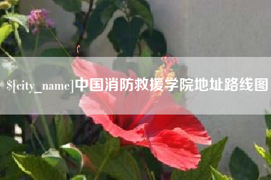 中国澳门中国消防救援学院地址路线图