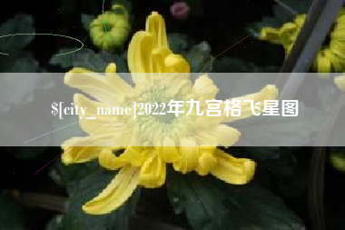 中国澳门2022年九宫格飞星图