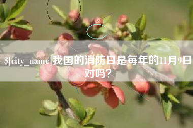 中国澳门我国的消防日是每年的11月9日对吗？