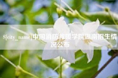 中国澳门中国消防救援学院湖南招生情况公布