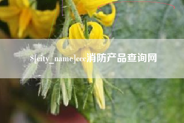 中国澳门ccc消防产品查询网