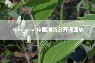 中国澳门中国消防公开课回放