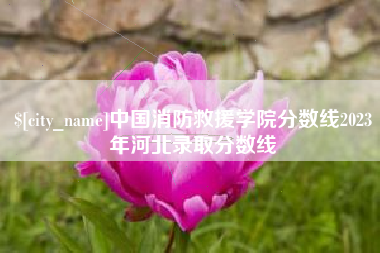 中国澳门中国消防救援学院分数线2023年河北录取分数线