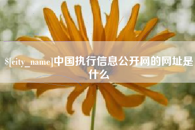 中国澳门中国执行信息公开网的网址是什么