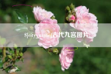 中国澳门古代九宫图片