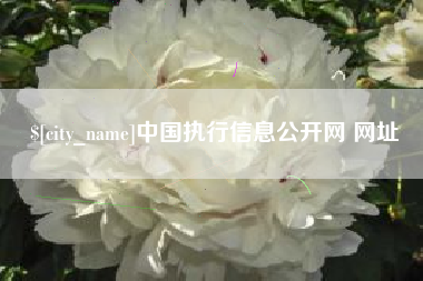 中国澳门中国执行信息公开网 网址