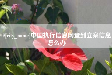 中国澳门中国执行信息网查到立案信息怎么办