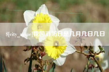 中国澳门我国消防日是几月几日几日