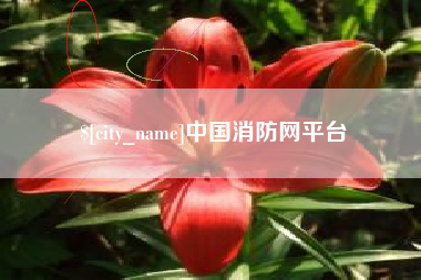 中国澳门中国消防网平台