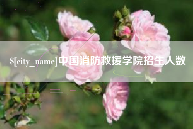 中国澳门中国消防救援学院招生人数