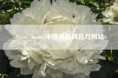 中国澳门中国消防网官方网站