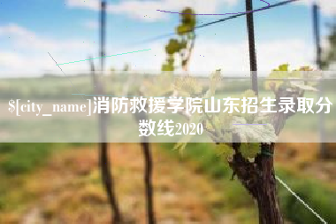 中国澳门消防救援学院山东招生录取分数线2020