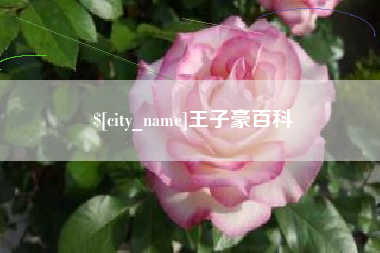 中国澳门王子豪百科