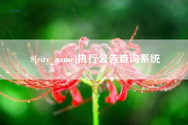 中国澳门执行公告查询系统