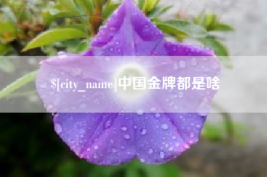 中国澳门中国金牌都是啥