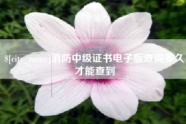 中国澳门消防中级证书电子版查询多久才能查到