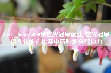 中国澳门5000米世界冠军配速-世界冠军们往往能在比赛中巧妙地分配体力