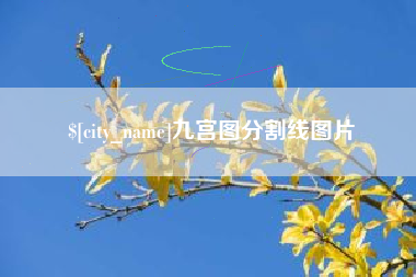 中国澳门九宫图分割线图片