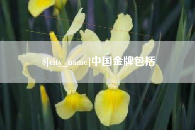 中国澳门中国金牌包括