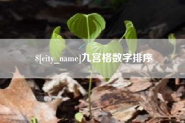中国澳门九宫格数字排序