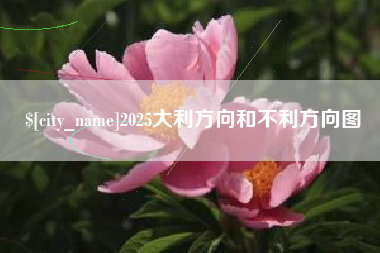 中国澳门2025大利方向和不利方向图
