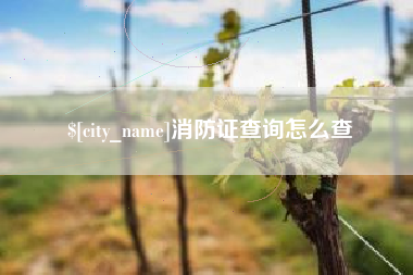 中国澳门消防证查询怎么查