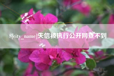 中国澳门失信被执行公开网查不到
