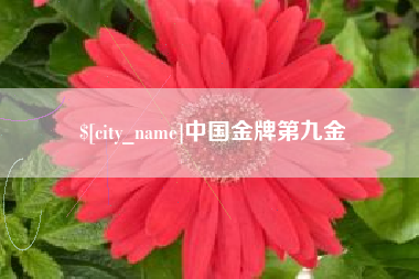 中国澳门中国金牌第九金
