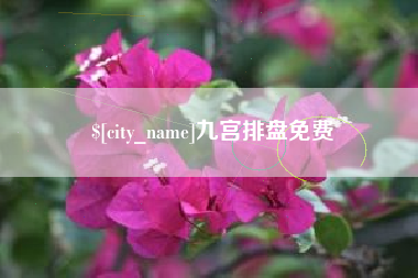中国澳门九宫排盘免费
