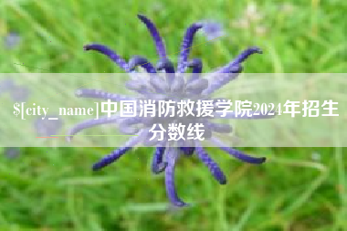中国澳门中国消防救援学院2024年招生分数线