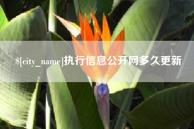 中国澳门执行信息公开网多久更新