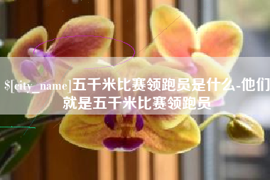中国澳门五千米比赛领跑员是什么-他们就是五千米比赛领跑员