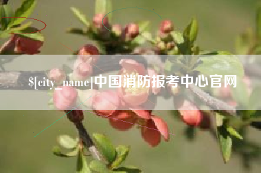 中国澳门中国消防报考中心官网