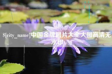 中国澳门中国金牌图片大全大图高清无水印