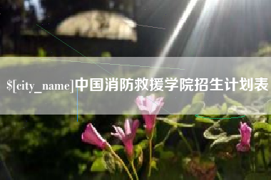 中国澳门中国消防救援学院招生计划表