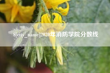 中国澳门2020年消防学院分数线