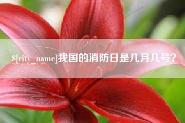 中国澳门我国的消防日是几月几号？