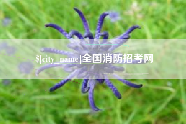 中国澳门全国消防招考网