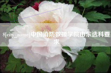 中国澳门中国消防救援学院山东选科要求