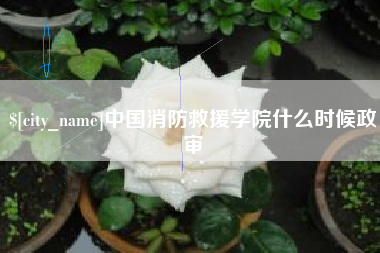 中国澳门中国消防救援学院什么时候政审